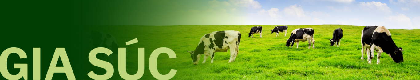 SAN PHAM CHO GIA SUC