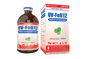 UV-FeB12