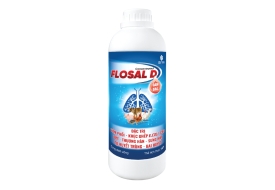 FLOSAL D Concentrated