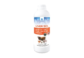 LIVER SOL