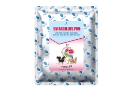 UV-BACILLUS.PRO