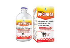 UV-CEFO 25