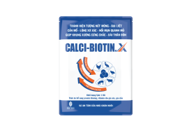 CALCI-BIOTIN.X