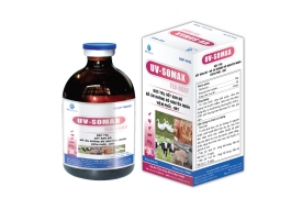 UV-SOMAX NEW