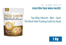 AQUA COLOR