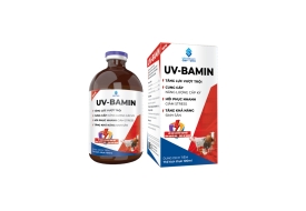 UV-BAMIN new