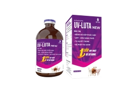 UV-LUTA new