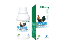 UV-THIAM thảo dược