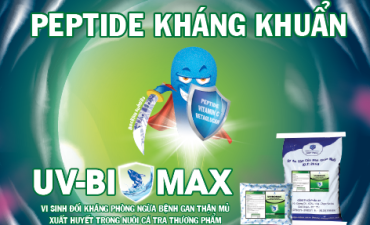 PEPTIDE kháng khuẩn UV-BIOMAX