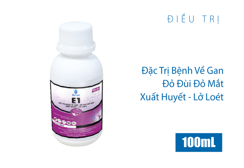 E1 đậm đặc