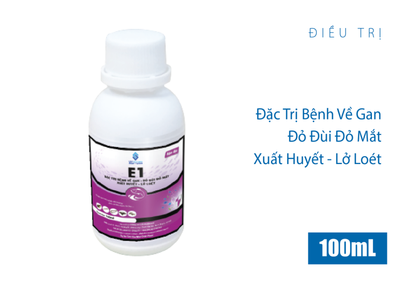 E1 đậm đặc
