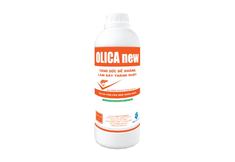 OLICA new