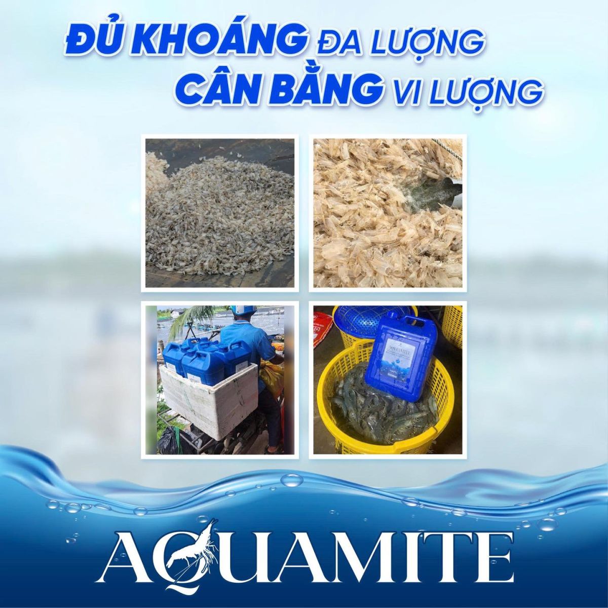 Aquamite - khoang chat tu nhien da vi luong thiet yeu cho tom - UV viet nam