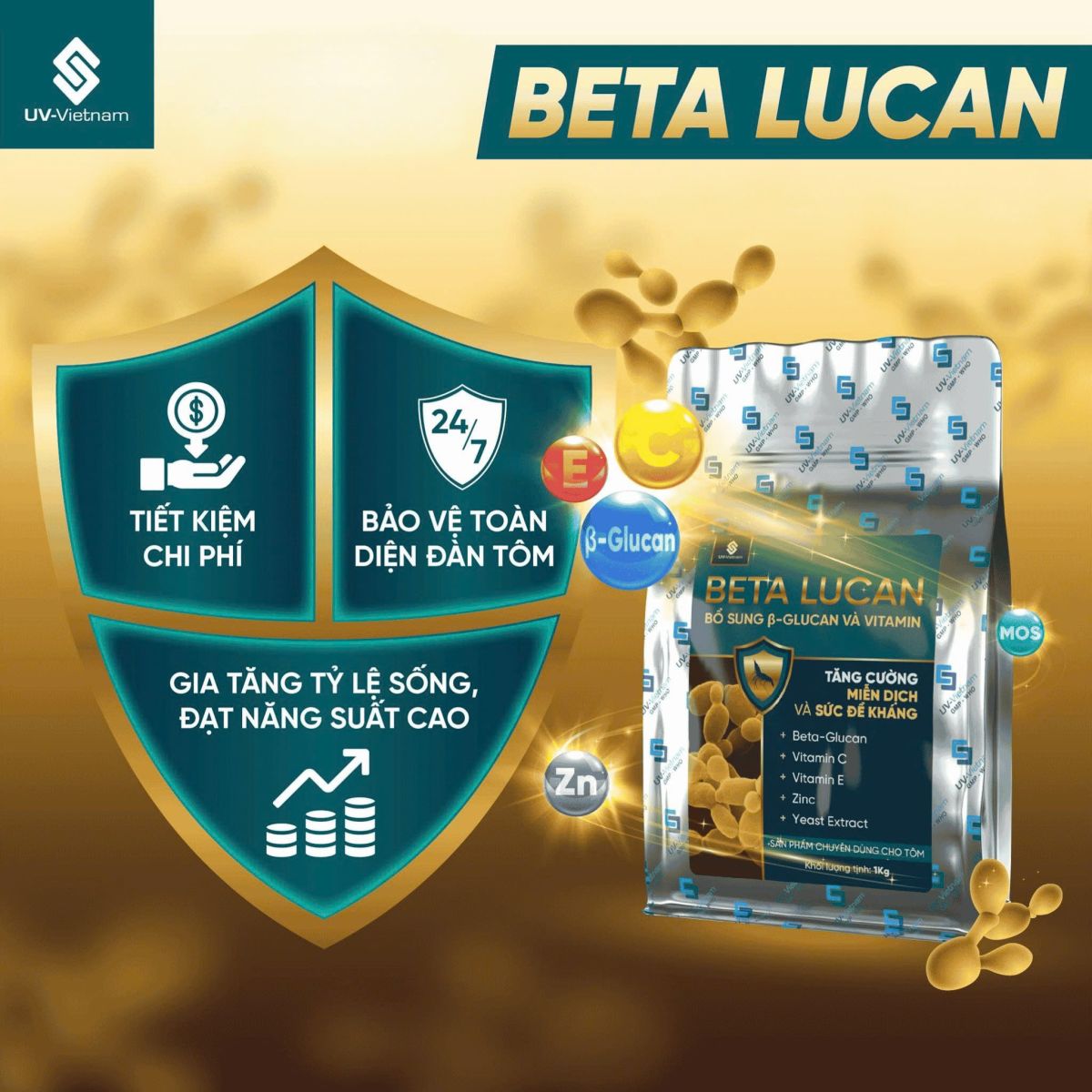 Beta Lucan - tang suc de khang nang mien dich tom chong lai EHP TPD EMS