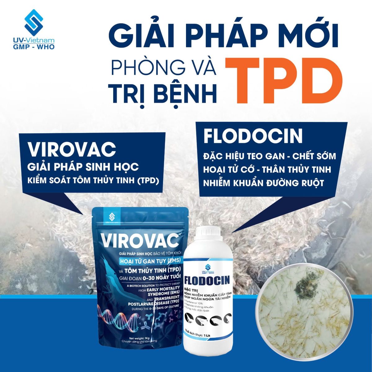 Virovac - Phong tri xu ly tom bi hoai tu gan tuy chet som tom thuy tinh - UV Viet Nam