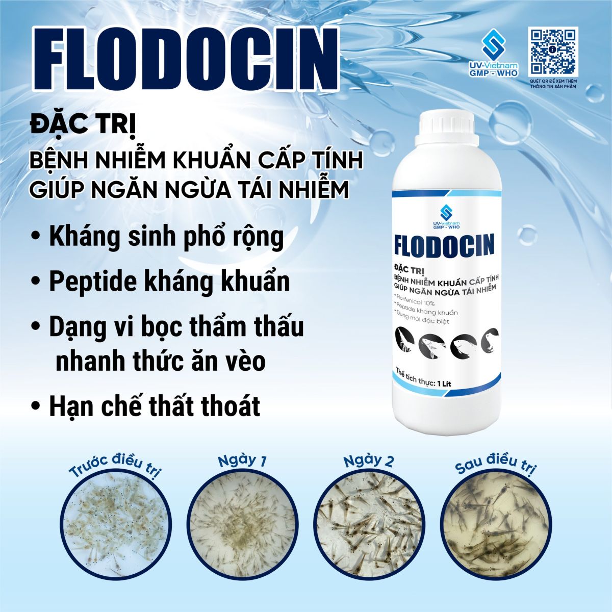 Flodocin - Phong tri xu ly tom teo gan nhiem khuan EMS tom thuy tinh TPD