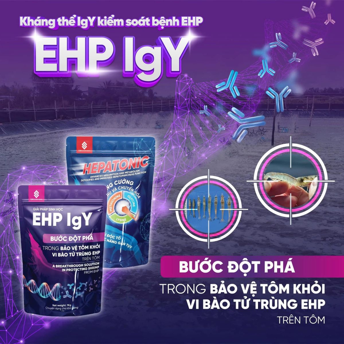 Hepatonic - EHP IgY - Khang the trong phong benh EHP