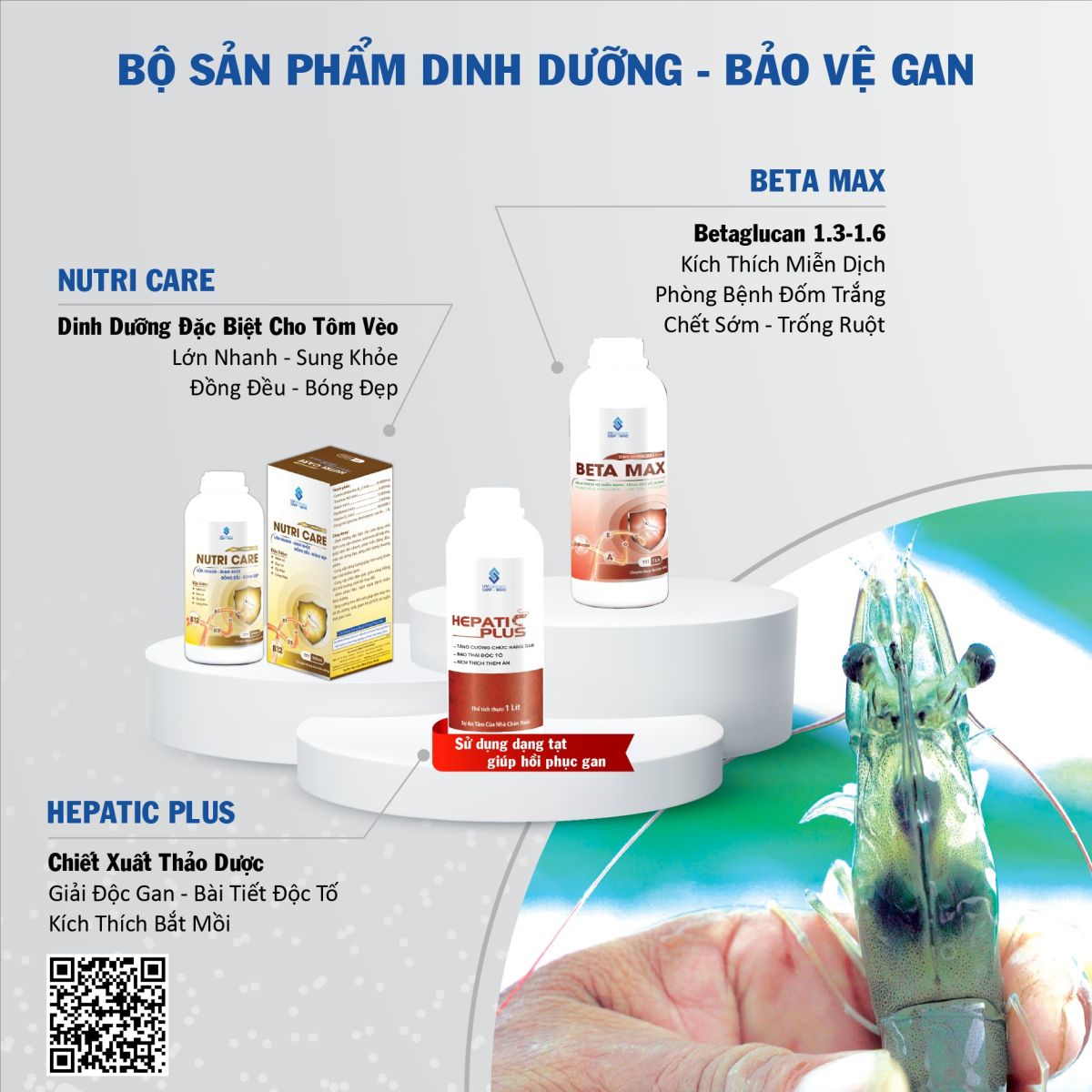 Beta Max - tang mien dich cho tom ho tro phong benh dom trang gan tuy tang ty le song cho tom con | UV Viet Nam