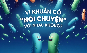 Vi khuẩn có nói chuyện được với nhau?